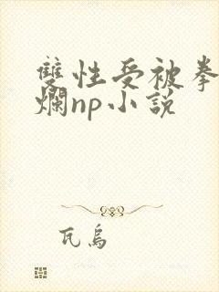 双性受被拳交玩烂np小说封面