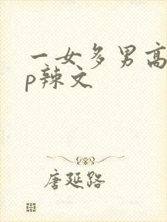 一女多男高hnp辣文