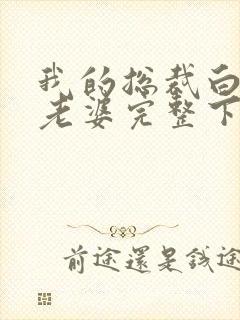 我的总裁白富美老婆完整下载封面