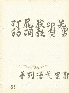 打屁股sp先生的调教双男主小说
