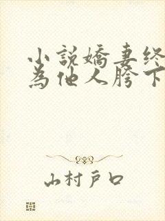 小说娇妻终将沦为他人胯下之物封面