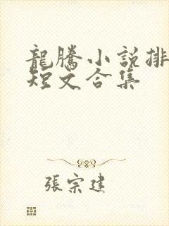 龙腾小说排行榜短文合集封面
