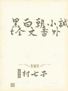 黑白朝小诚txt全文番外