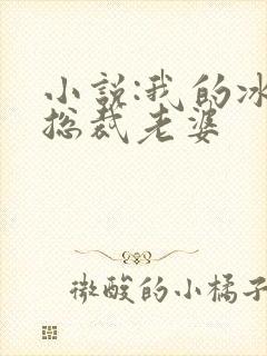 小说:我的冰山总裁老婆