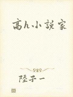 高h小说家封面