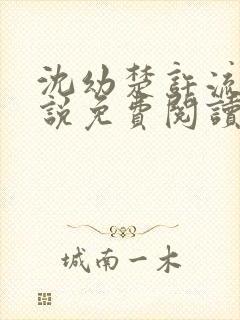 沈幼楚许流年小说免费阅读最新章节