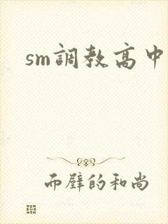 sm调教高中生