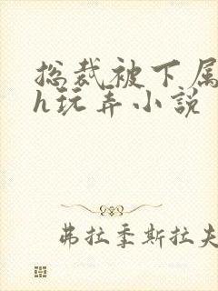 总裁被下属调教h玩弄小说