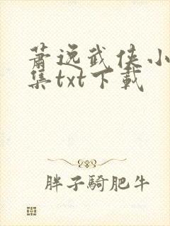 萧逸武侠小说全集txt下载