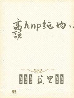 高hnp纯肉小说