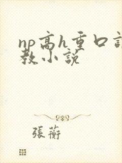 np高h重口调教小说