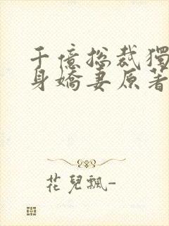 千亿总裁独宠替身娇妻原著封面