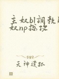 主奴bl调教贱奴np总攻