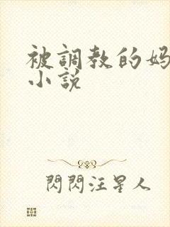 被调教的妈妈的小说封面