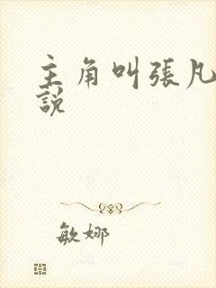 主角叫张凡的小说封面