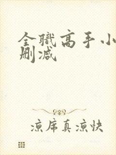 全职高手小说无删减