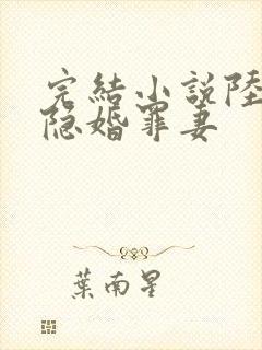 完结小说陆少的隐婚罪妻