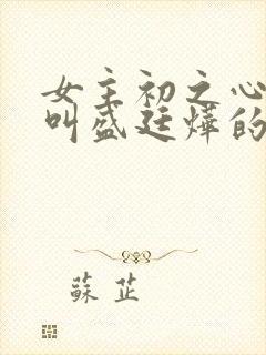 女主初之心男主叫盛廷烨的小说
