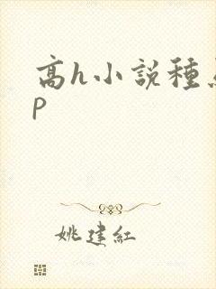 高h小说种马np封面