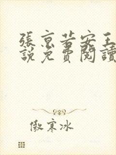 张京若安王妃小说免费阅读无弹窗
