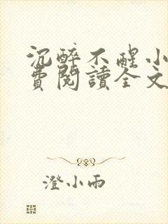 沉醉不醒小说免费阅读全文无弹窗