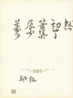 叶辰萧初然更新多少集了封面