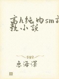 高h纯肉sm调教小说