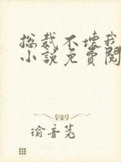 总裁不坏我不爱小说免费阅读