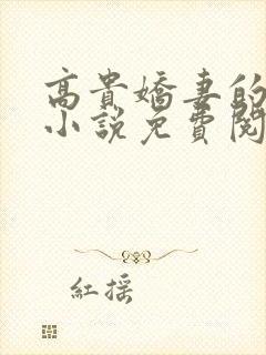 高贵娇妻的秘密小说免费阅读