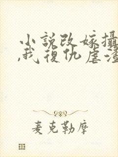 小说改嫁摄政王,我复仇虐渣妹萧怀在线阅