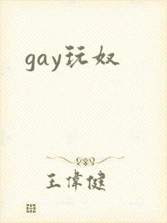 gay玩奴