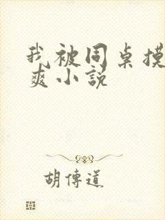 我被同桌摸的好爽小说