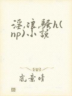 淫,浪,骚h(np)小说