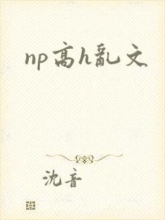 np高h乱文