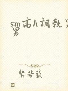 sm高h调教男男
