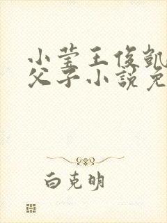小莹王俊凯三人父子小说免费阅读封面