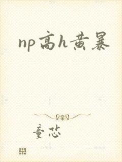 np高h黄暴