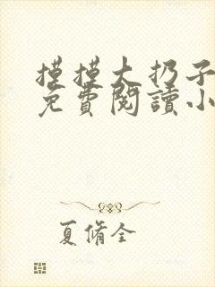 摸摸大扔子小说免费阅读小说