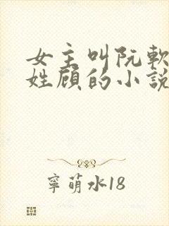 女主叫阮软男主姓顾的小说