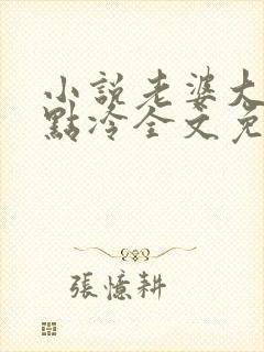 小说老婆大人有点冷全文免费阅读