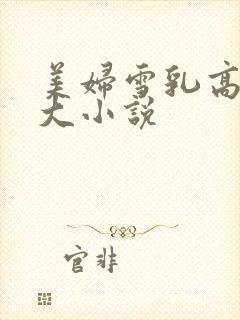 美妇雪乳高耸硕大小说封面