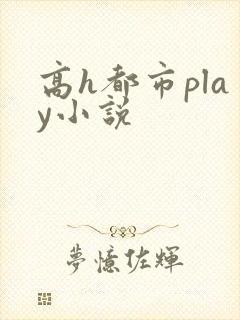 高h都市play小说封面
