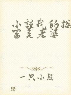 小说我的总裁白富美老婆封面