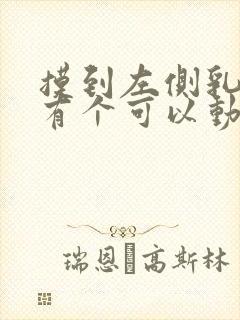 摸到左侧乳房里有个可以动的硬块