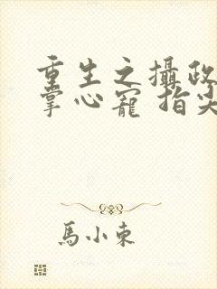 重生之摄政王的掌心宠 指尖方寸