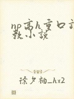 np高h重口调教小说