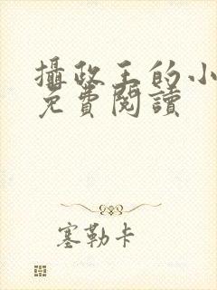 摄政王的小狂妃免费阅读