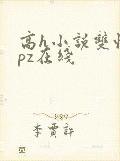 高h小说双性npz在线