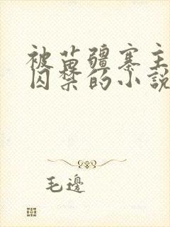 被苗疆寨主抓住囚禁的小说女主