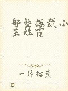 哪些总裁小说男主姓霍